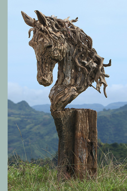 Head_of_thoroughbred_500x750.jpg