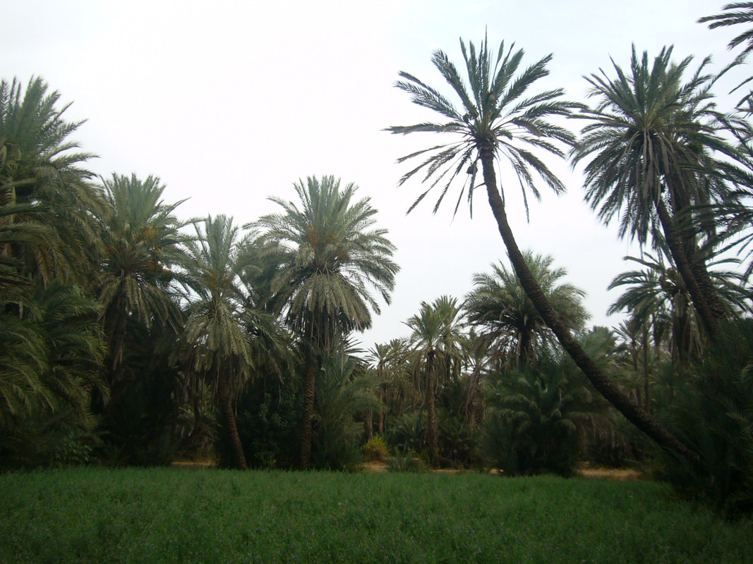 Que visitar en los alrededores de Agadir - Agadir (6)