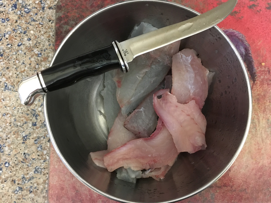 Buck_121_and_Flounder_Filets.jpg