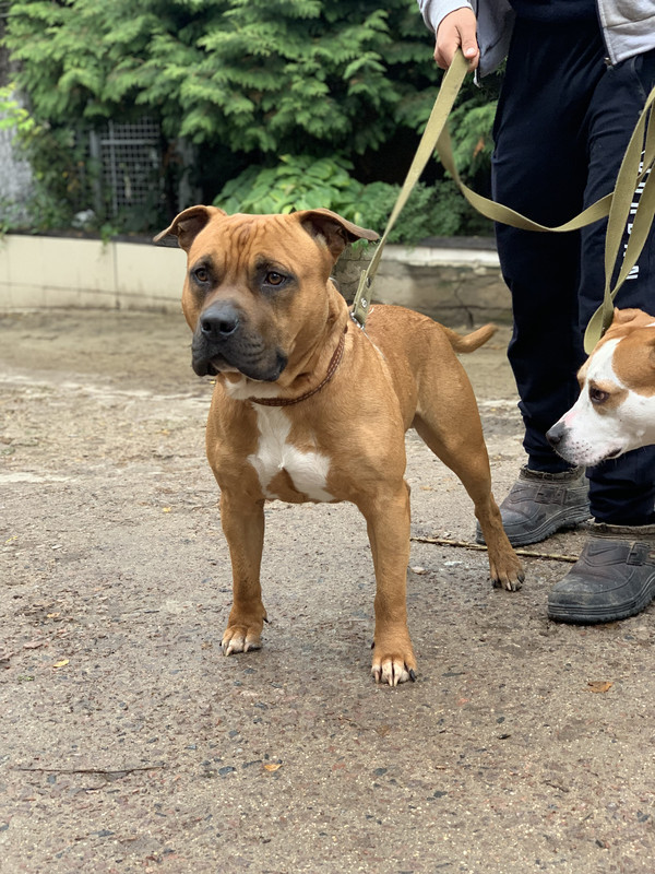 EED82916-FF43-4FE9-BB50-3BF841F84F67