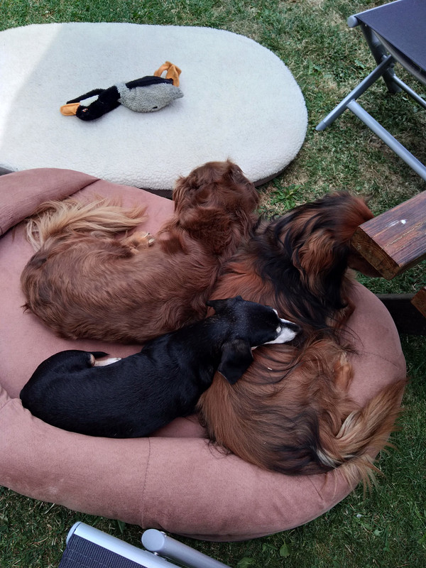 [Image: IMG-20200714-152756.jpg]