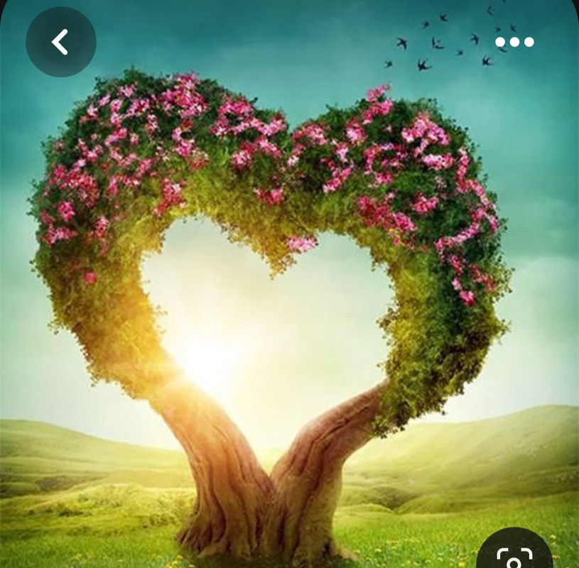 Screenshot_20230416_005714_Pinterest