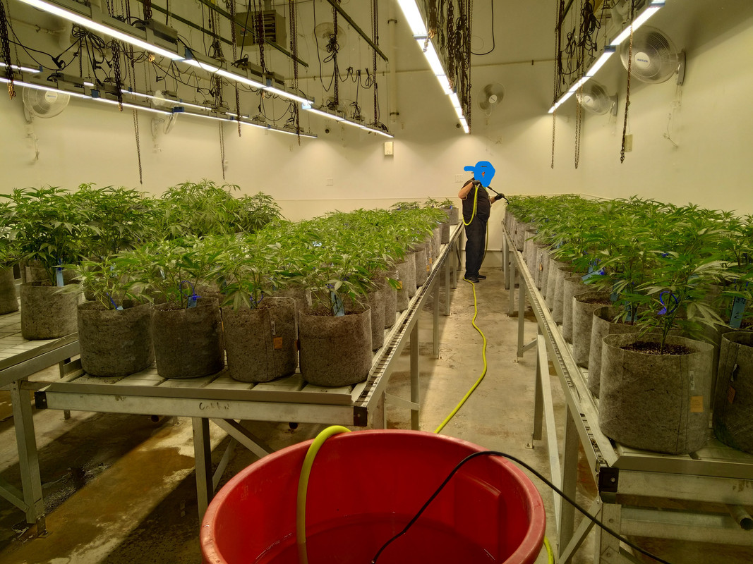 IMG_20231022_161214(2)