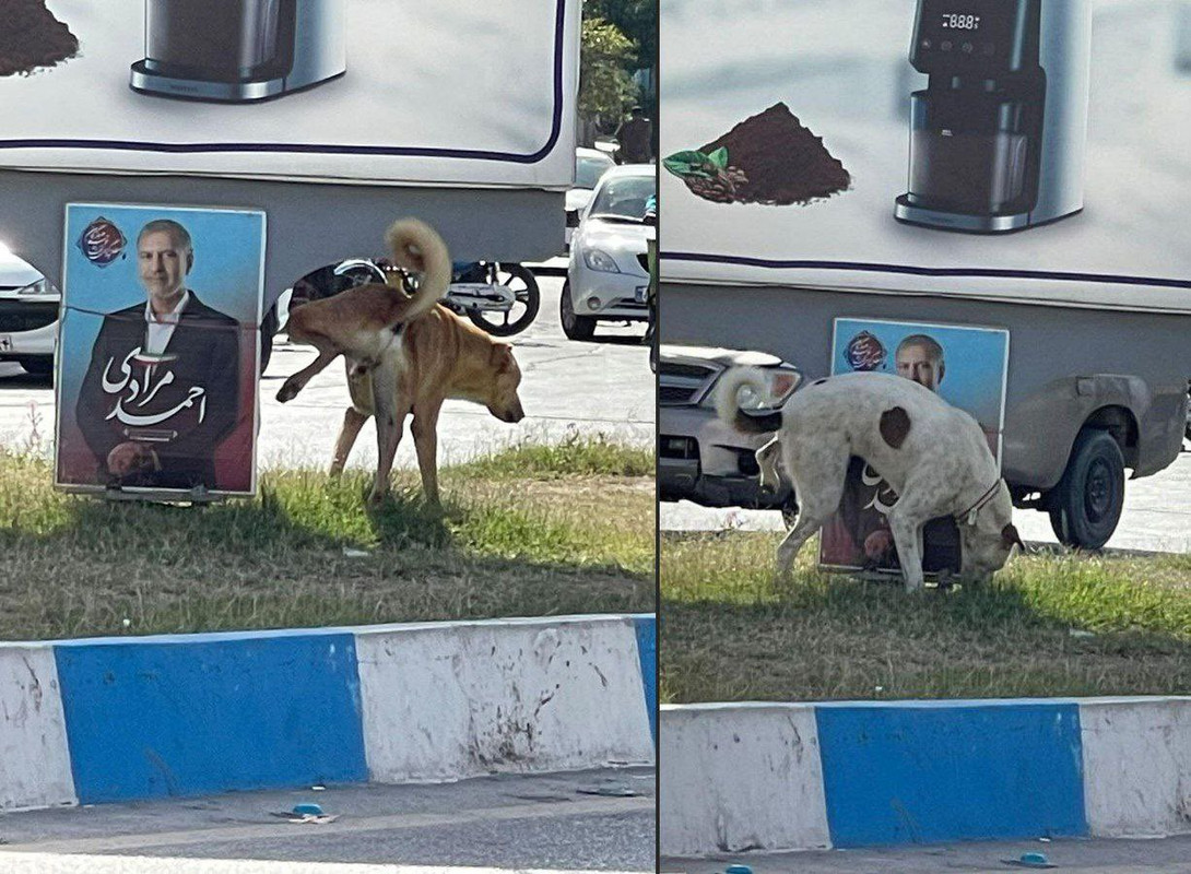 ۲۰۲۴۰۳۰۲_۱۸۴۷۰۰