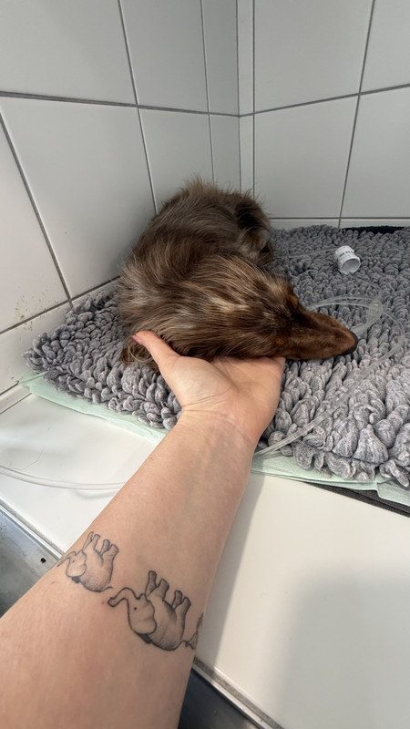 [Image: IMG-3129.jpg]