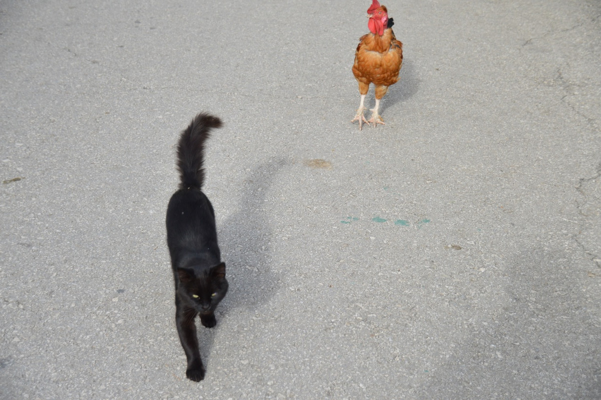 IocZug65tgxSxGNLKqZAsIiciTMaC7XCvk0xY4IbLu1fx40QJ07RK0DUeVHxeLi7wkin059WcYnTRMysFfXLlz7O