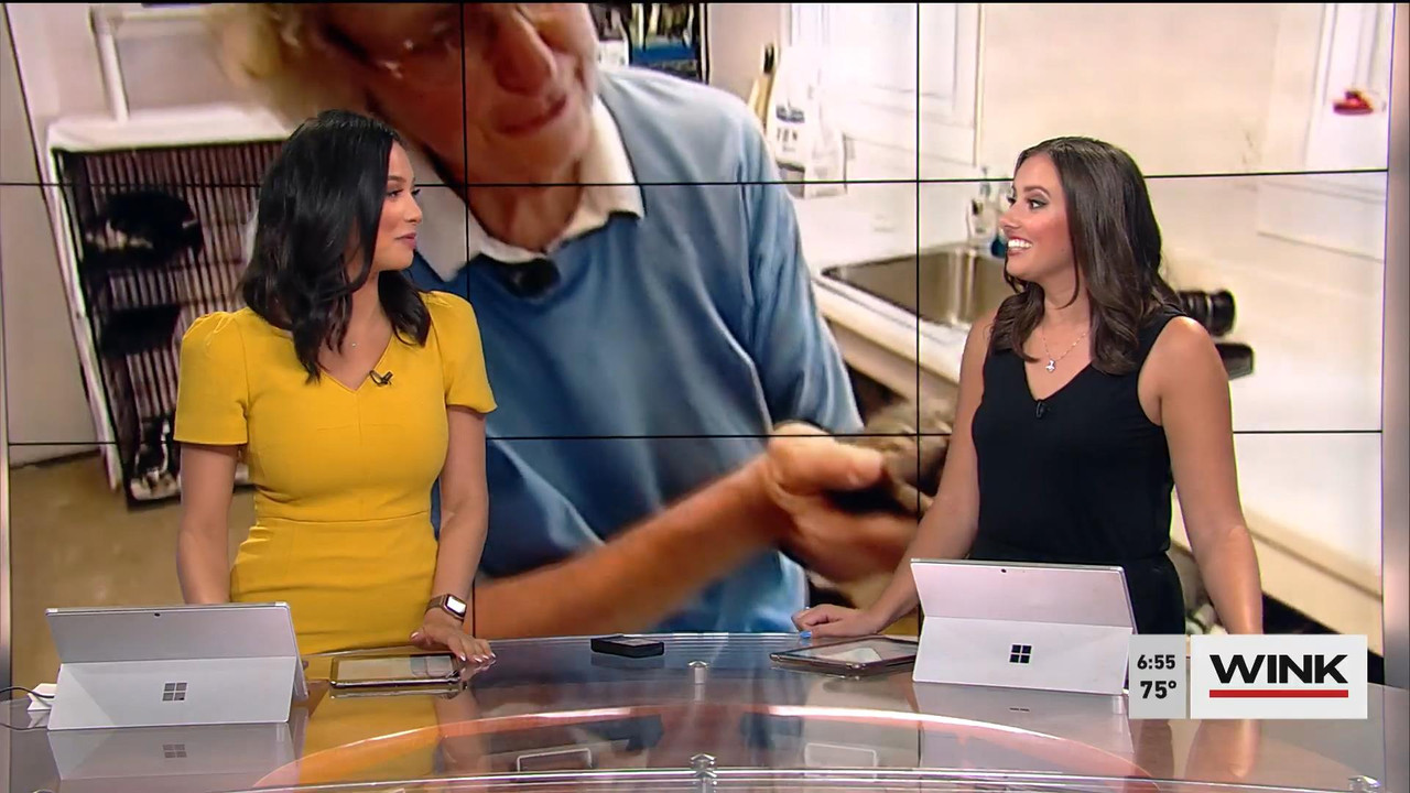 07.10 - 11.00.00 - WINK News @ 6 00am..ts_snapshot_00.56.16_[2021.07.10_13.36.24]