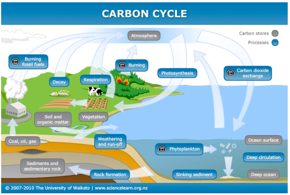 carbon cycle ocean carbon cycle ocean