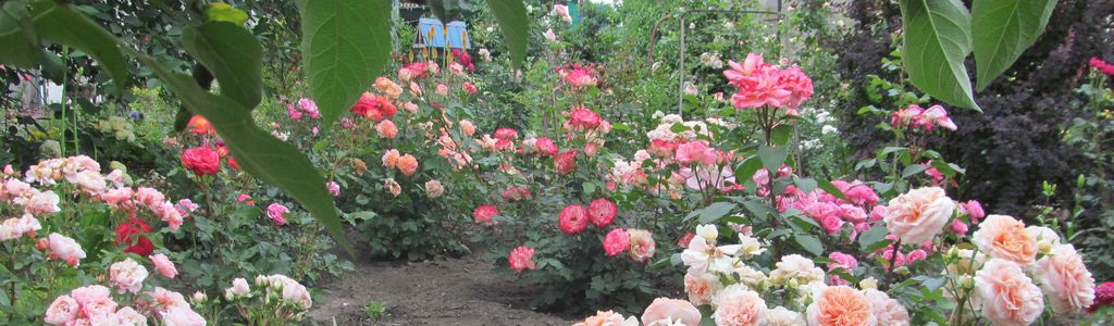 078