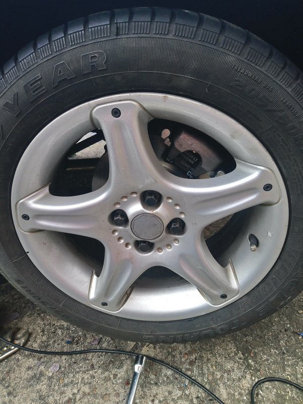 90594808_10222748747051105_5486400221866885120_o