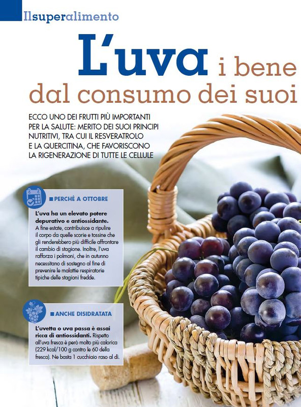 Alim Nat Ott 2015 (5)