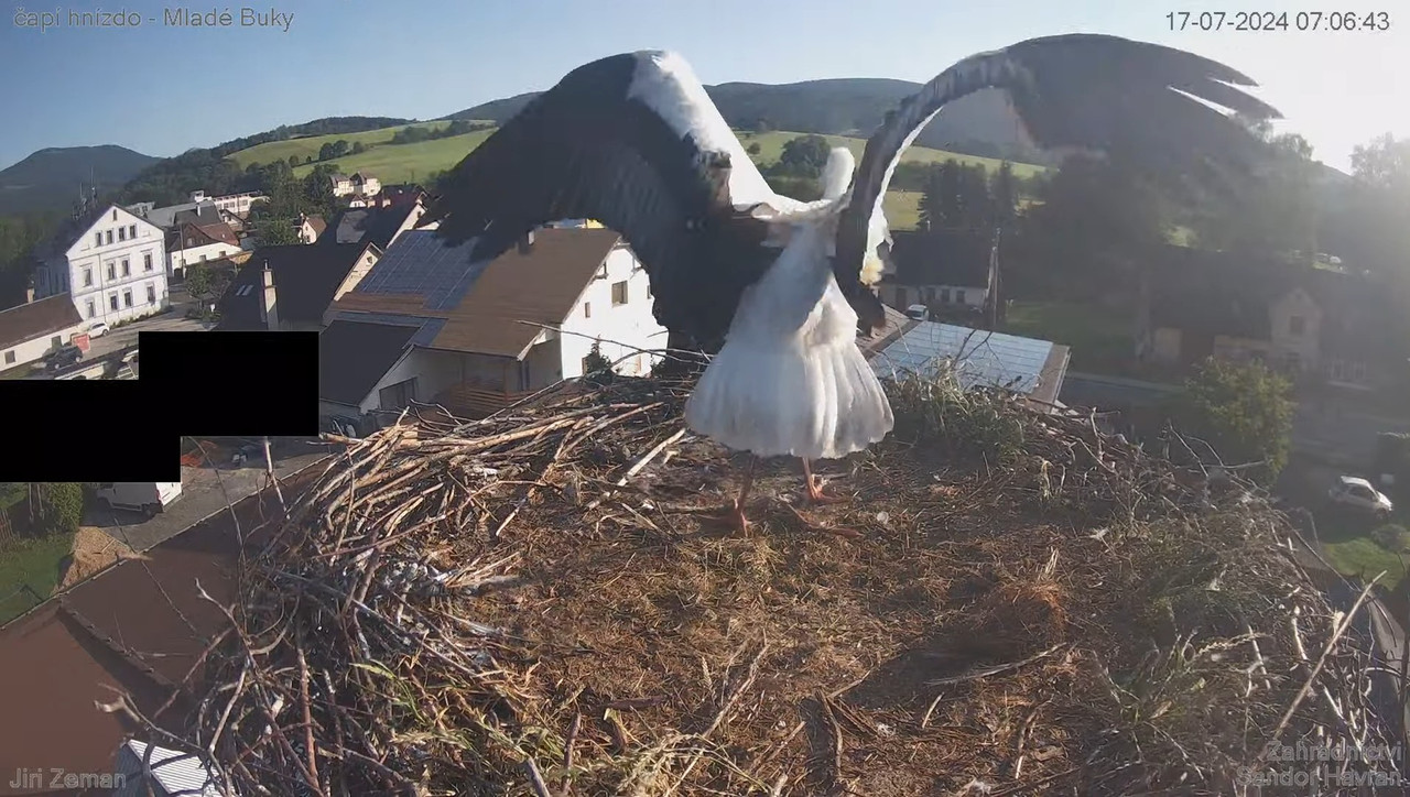 Tiešraides kamera — Mladé Buky — stārķa ligzda 9-38-31 screenshot