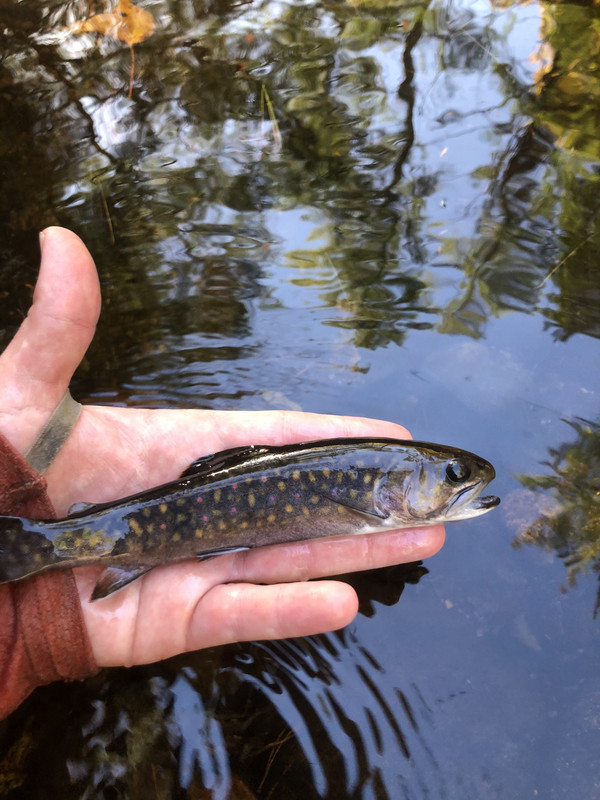 DC16D38A-FCAC-4468-96A1-A5517DF5878A