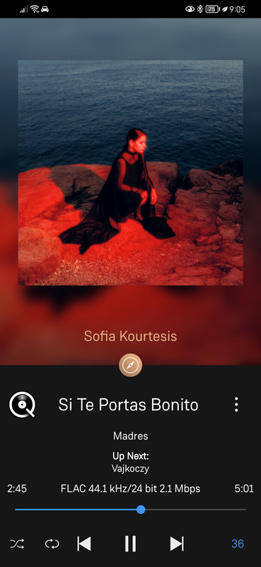 Screenshot_20240305_210510_uk.co.linn.Linn