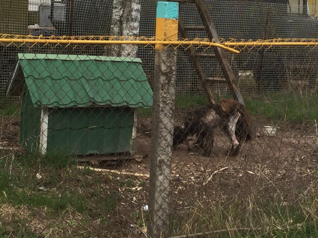 D1C6955F-ED3F-433A-89D7-9F224102E370