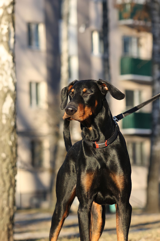 60273B48-5AA5-45AA-BCE9-0B75A11EF9E9