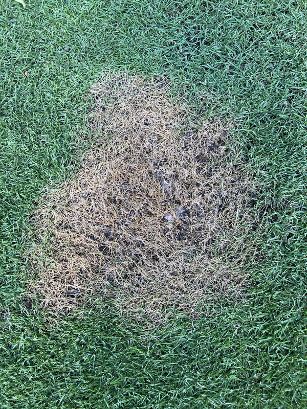 B58918B8-6310-41A2-8306-AAD060CA6350