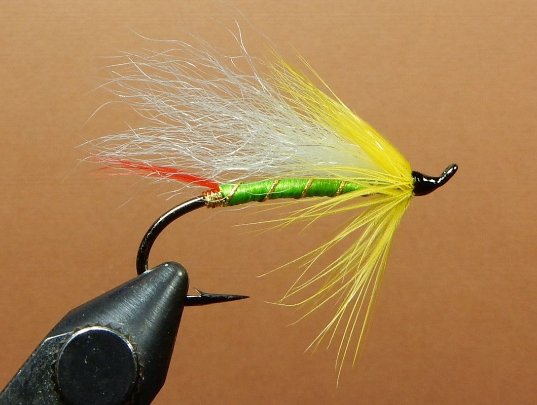 What Are You Tying Today? Pa