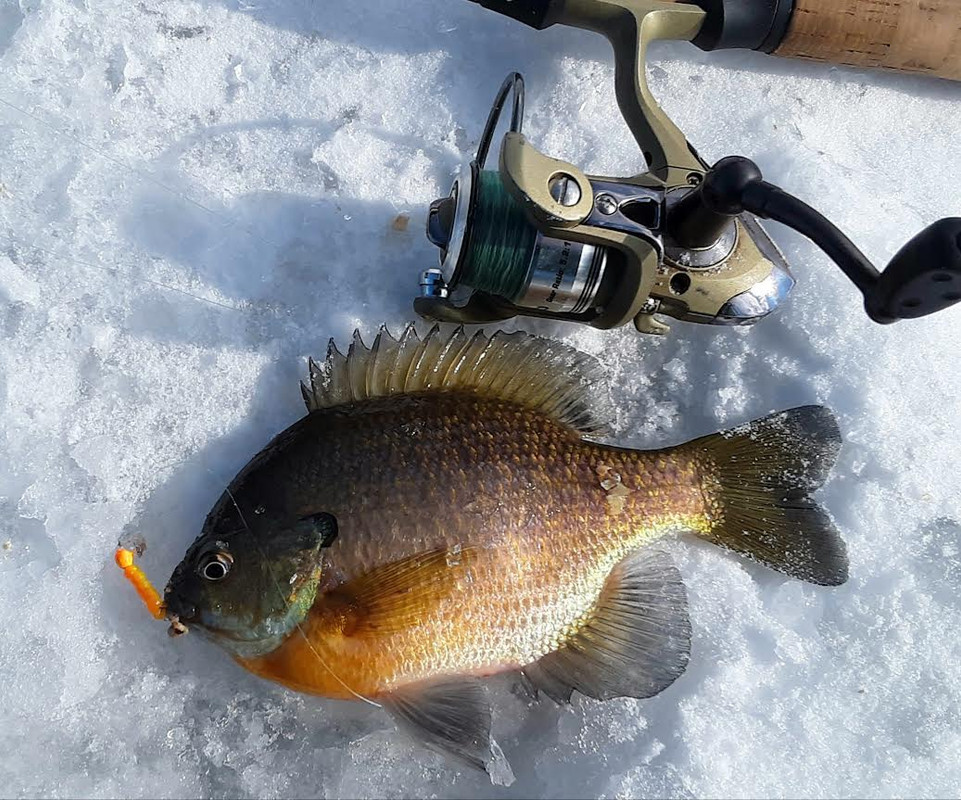 0CA9AF47-3568-4681-A65F-71BBDB949BFB