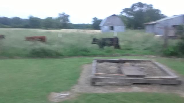 20190526_203156
