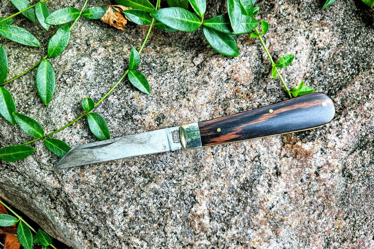 20240809_073856-EDIT (1)