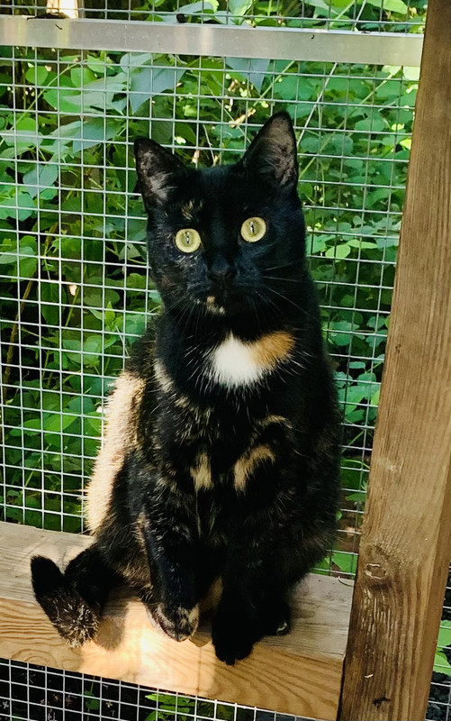 06670E76-FFD6-4490-B9ED-BBB2442E2DAE