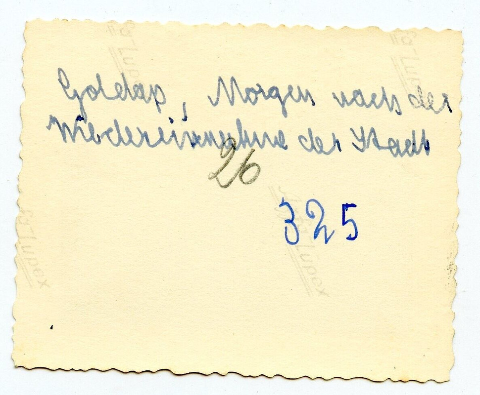 F15 Foto GrenRgt503 Ostfront Ostpreußen 44 Panzer Stug Wiedereinnahme von Goldap (1)