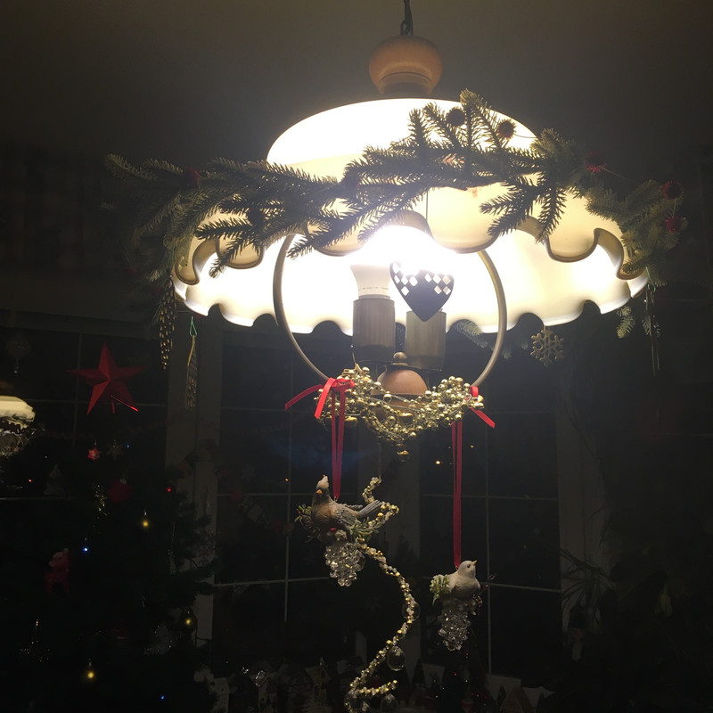 новогоднее с айфона январь 2025 037