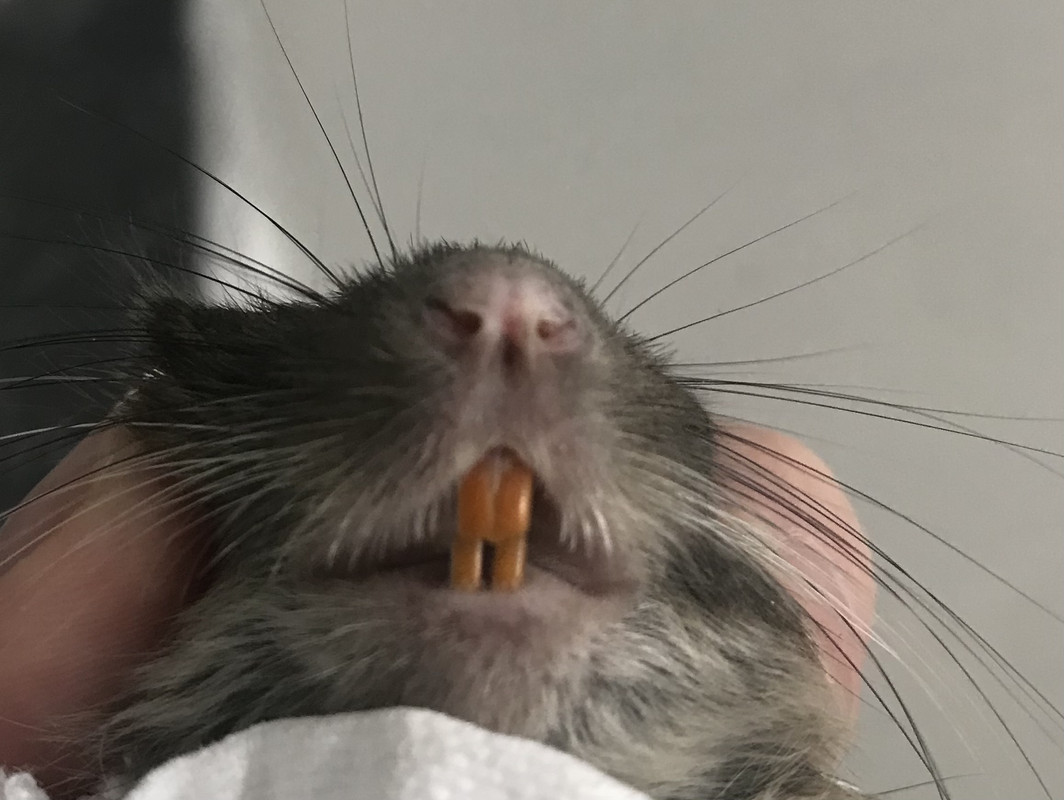 D11E2229-7EDB-40B5-B255-27F83AED2913