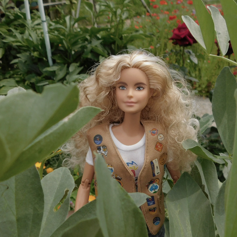 Дачное июль 203 и барби 056