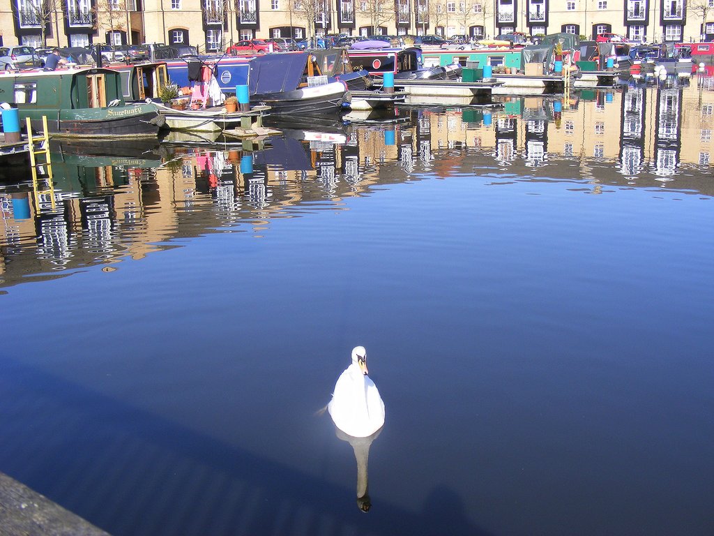 DSCF2695.jpg