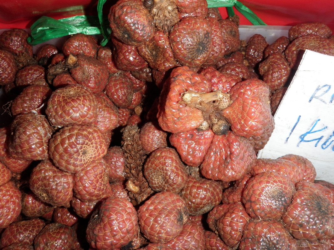 life in asia for a year and backpacking 196