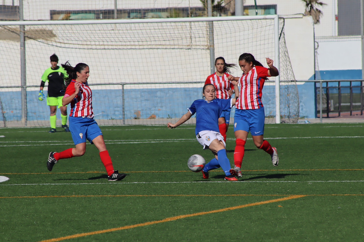 IMG-8413