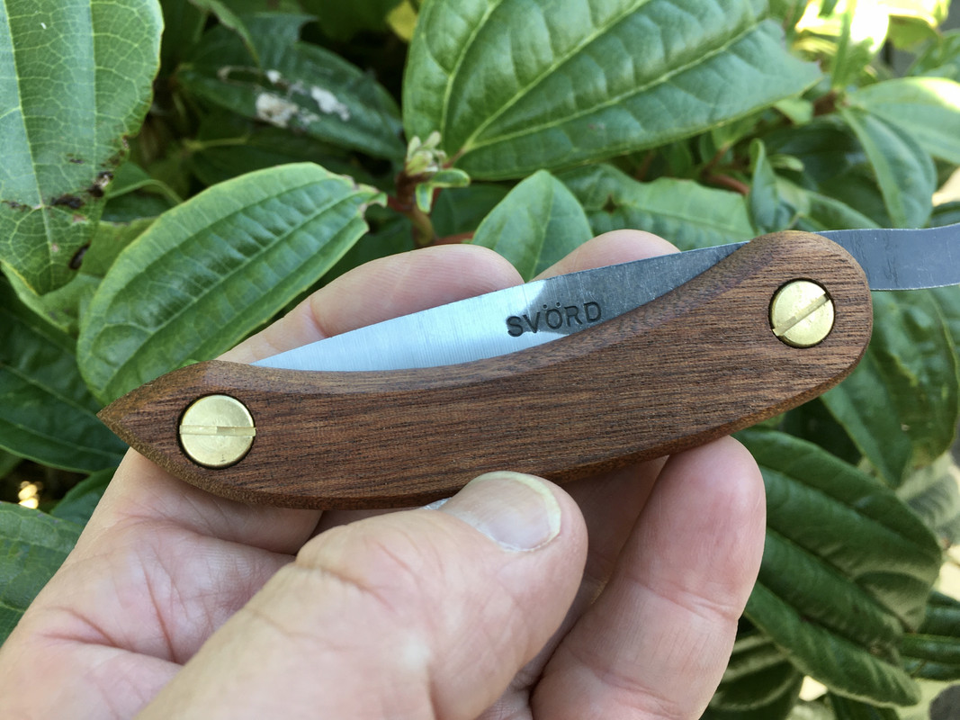 A0047723-15C9-4100-BC4B-E638731B8018