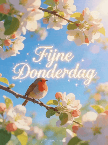gif fijne donderdag zonnig