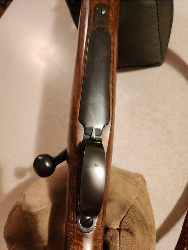 Screenshot_20230305_102816_Gallery