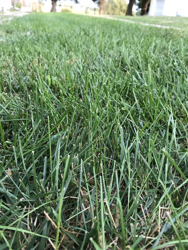 DE340DB9-A39D-436B-B32E-FD3CFE675C0D