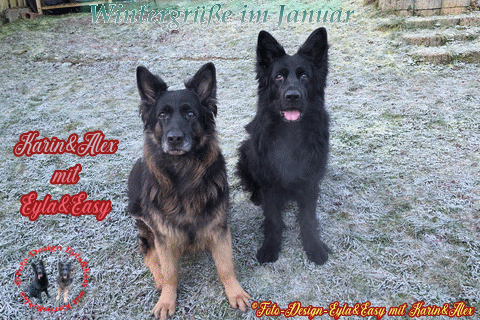 Wintergrusse-im-Januar-23-01-26