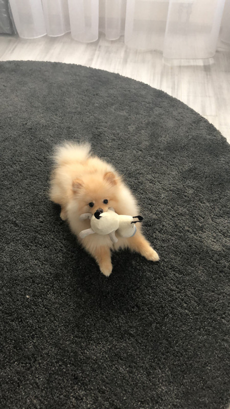 772BAE93-3B48-41FD-8F0E-9202A0EEF14A