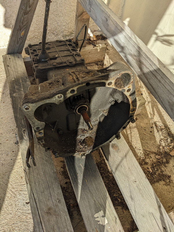 PXL_20221113_114032861