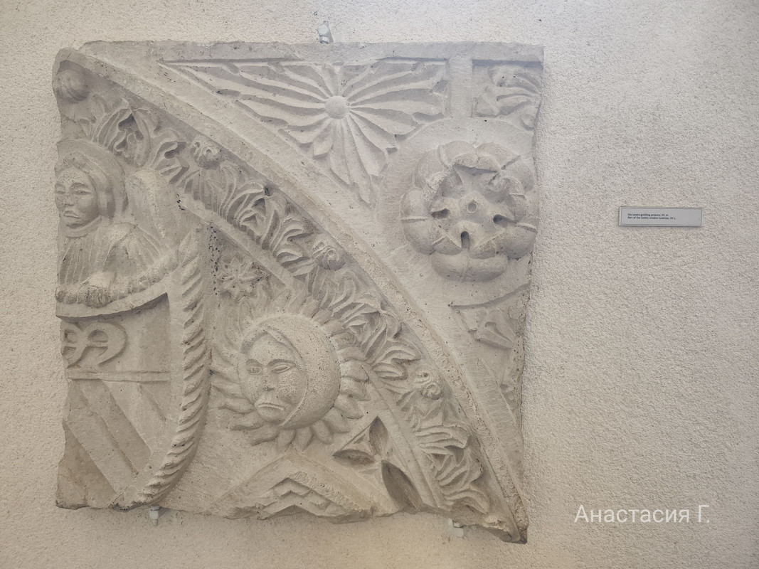 IMG_20250525_154756 (1)