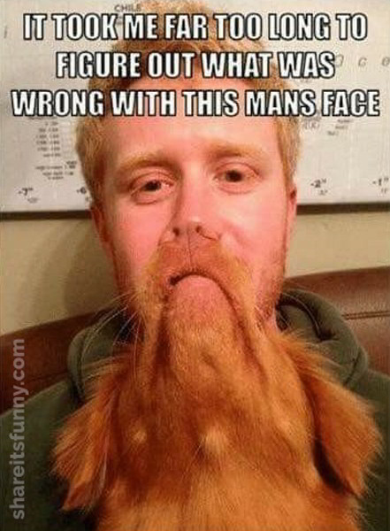 ginger.jpg