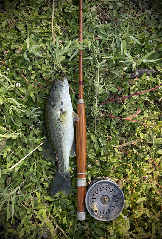 850687EF-4514-43A4-9E96-B0B6FBC83BA3