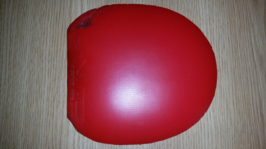 20161219_135938 (Small)