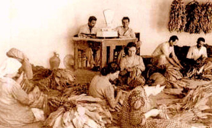 κοζάνη, ειδήσεις, νέα, Πτολεμαΐδα