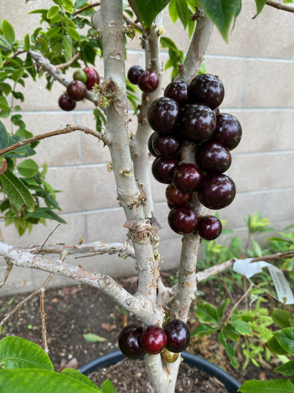 0ADE4CAE-D31D-4A62-8F3A-62DA1522AC35