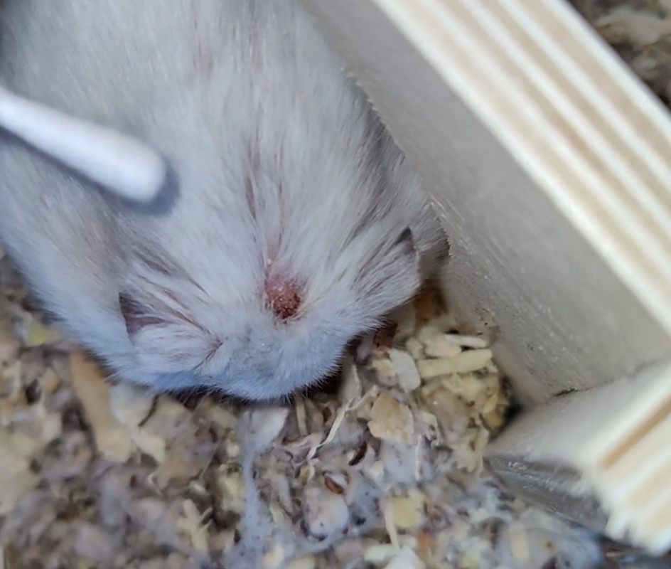 Screenshot_2025-02-16-14-38-53-53_965bbf4d18d205f782c6b8409c5773a4