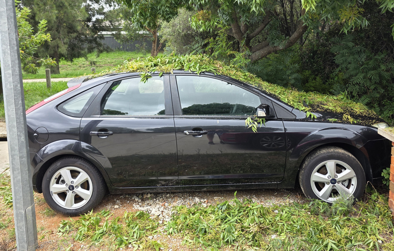 Camouflagedbycockatoos