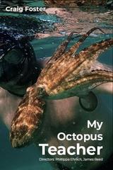 My-Octopus-Teacher-2020-1080p-NF-WEB-DL-DDP5-1-H-264.jpg