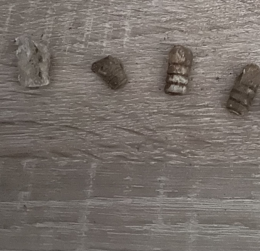 C528073B-FCEC-4618-B489-85551F2ECF6C